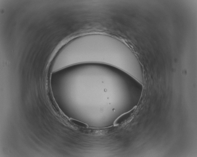 X0000078890056200611131040