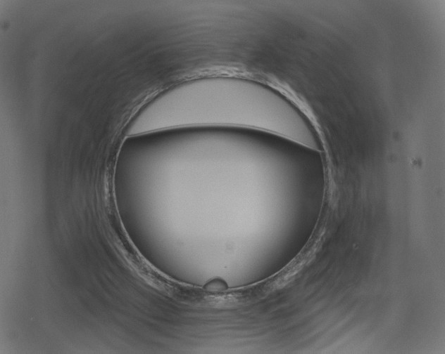 X0000078890057200611131040