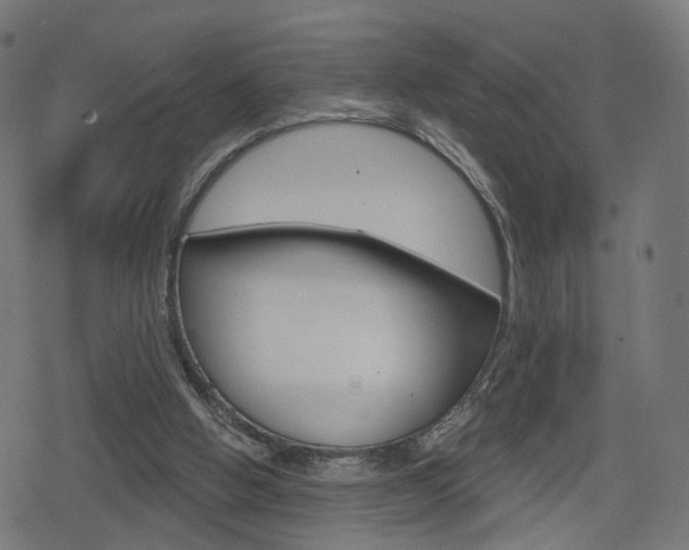 X0000078890058200611131040