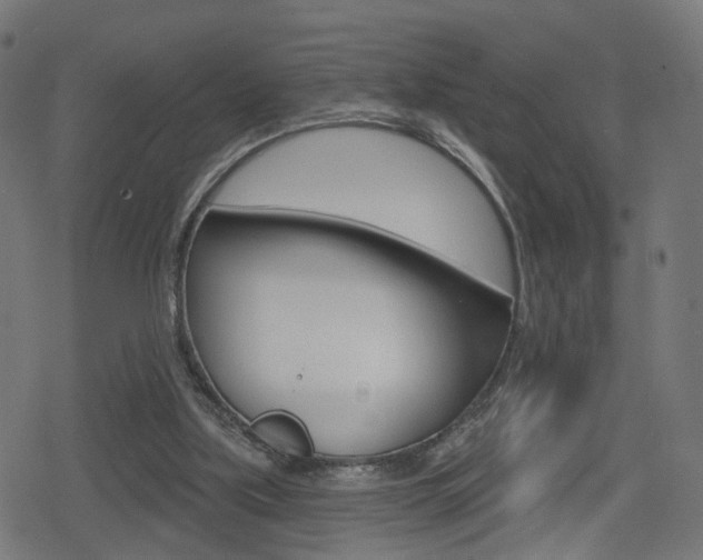 X0000078890059200611131040