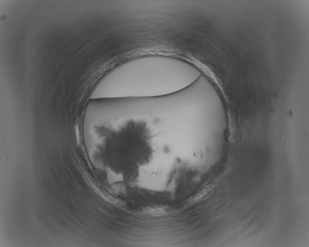 X0000078890061200611131040