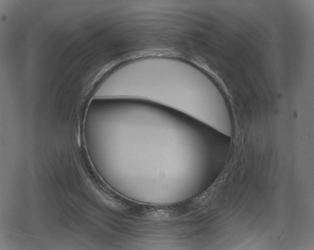 X0000078890062200611131040