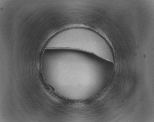 X0000078890063200611131040