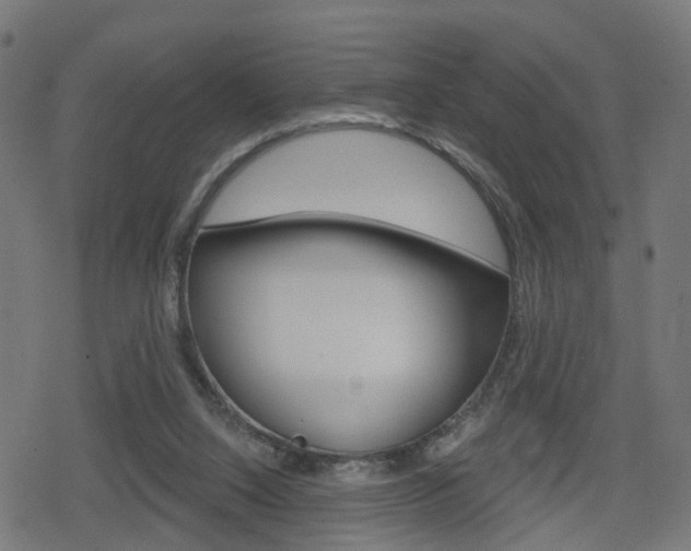 X0000078890064200611131040