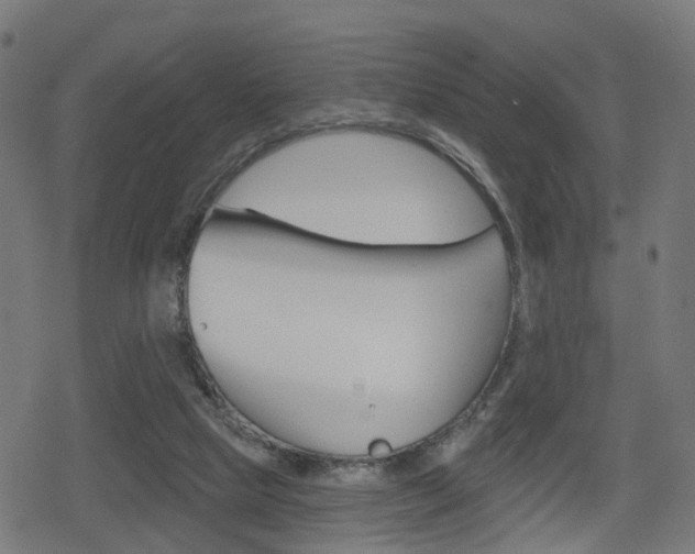 X0000078890065200611131040