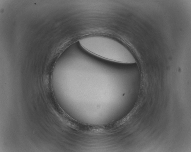 X0000078890066200611131040