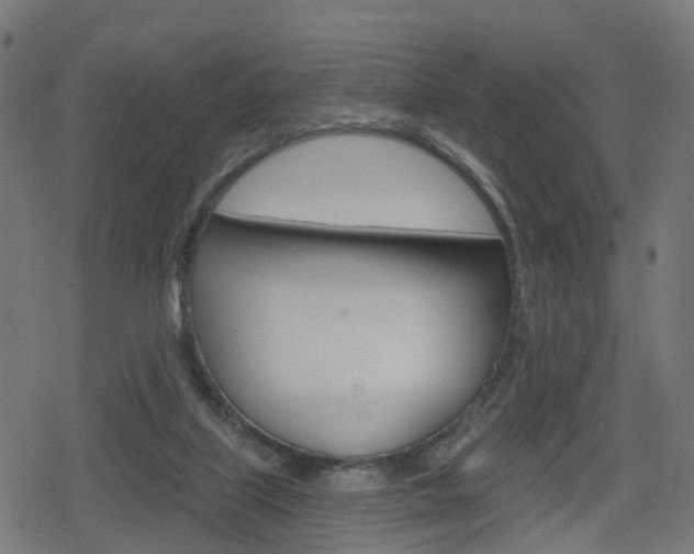 X0000078890067200611131040