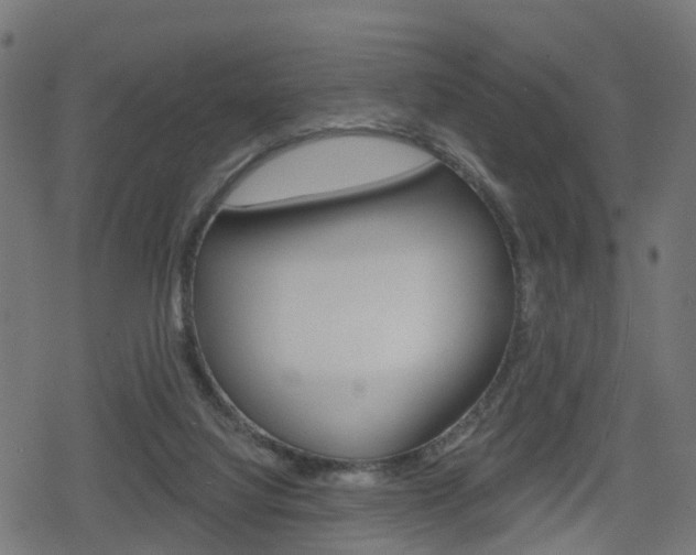 X0000078890068200611131040