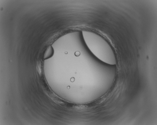 X0000078890069200611131040