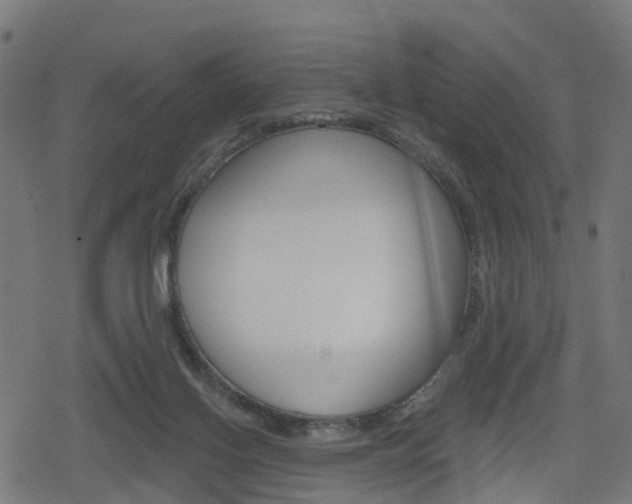 X0000078890070200611131040