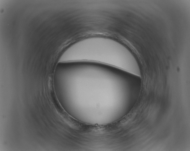 X0000078890071200611131040