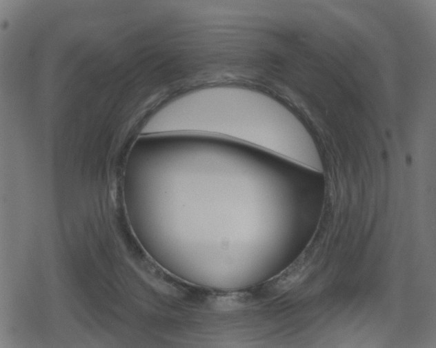 X0000078890072200611131040