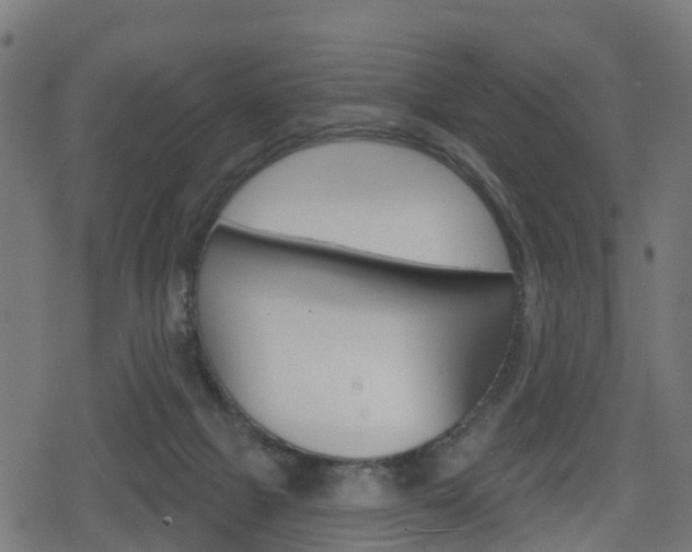 X0000078890073200611131040