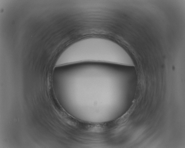 X0000078890074200611131040