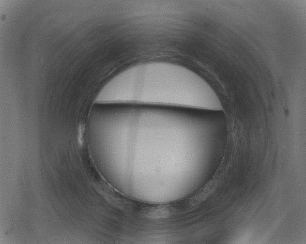 X0000078890075200611131040