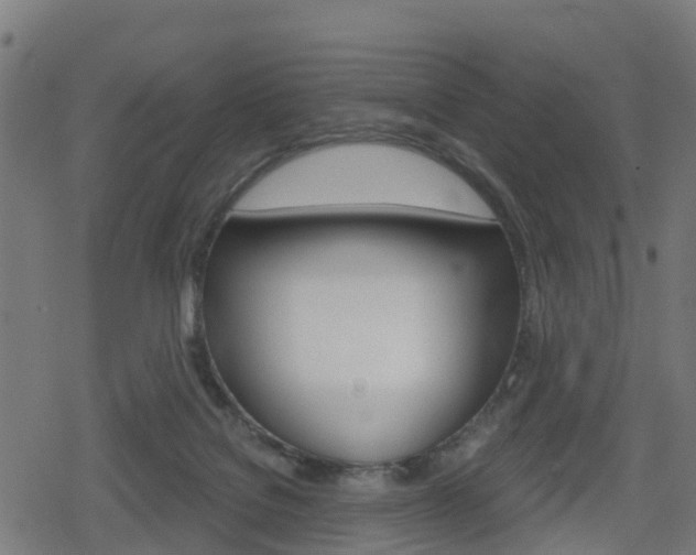 X0000078890076200611131040