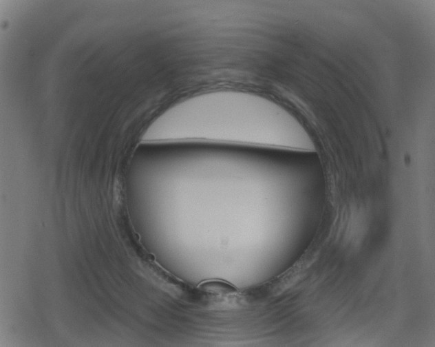 X0000078890077200611131040