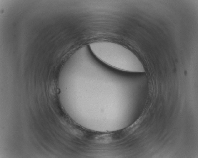 X0000078890078200611131040