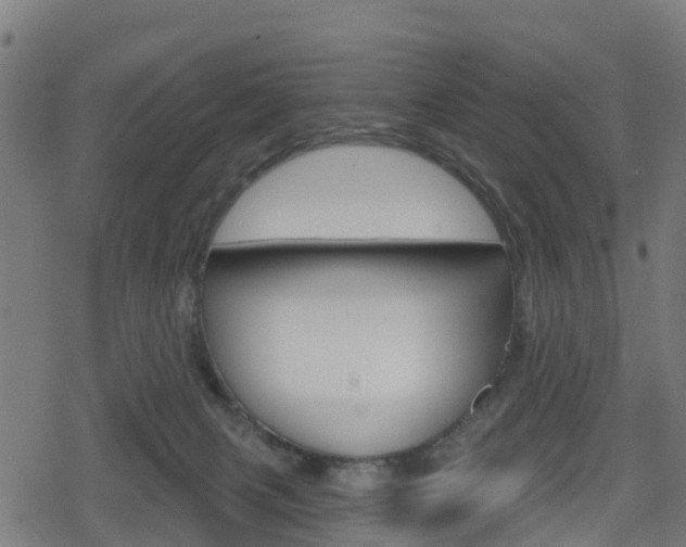 X0000078890079200611131040