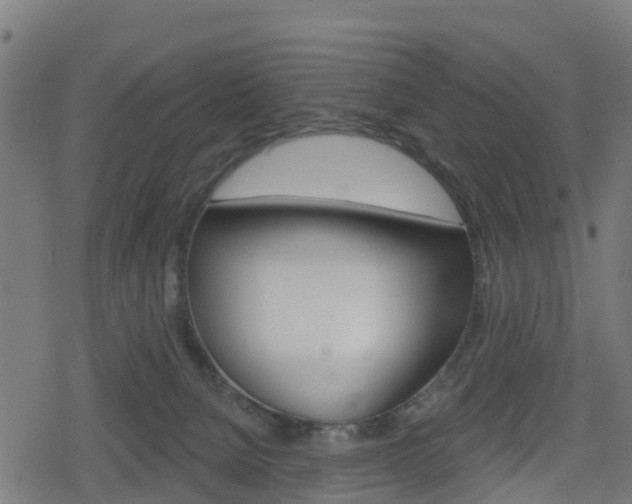 X0000078890080200611131040