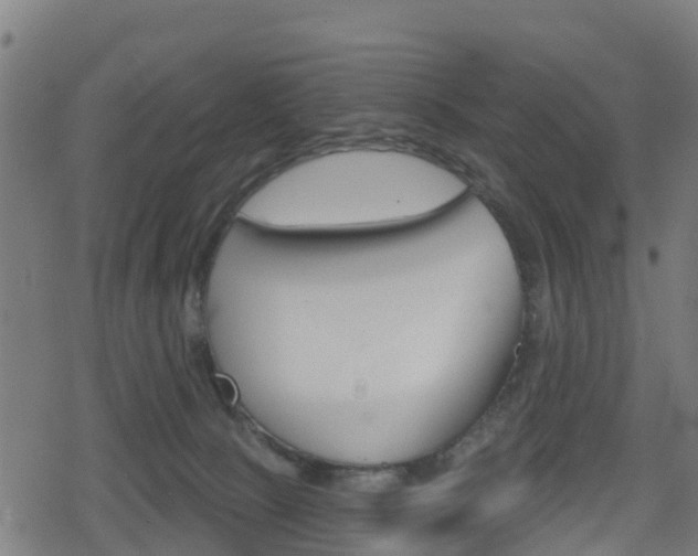 X0000078890081200611131041