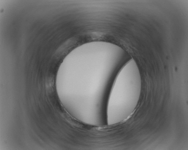 X0000078890082200611131041