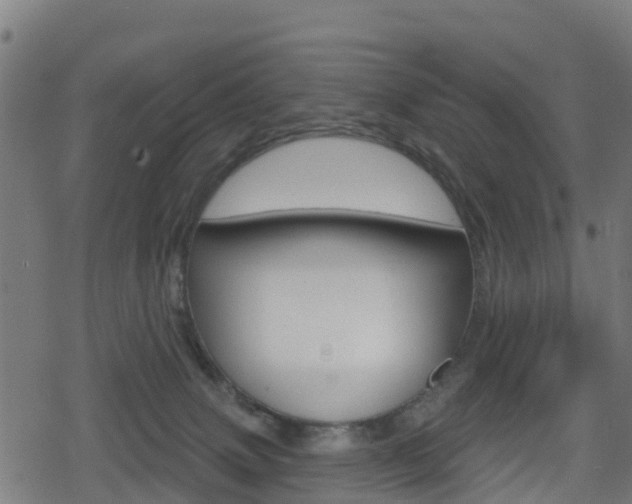 X0000078890083200611131041