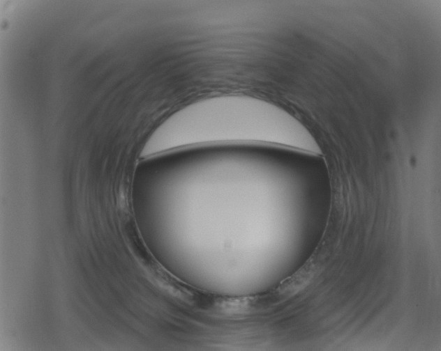 X0000078890084200611131041