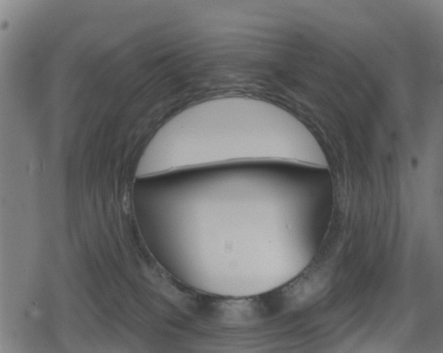 X0000078890085200611131041