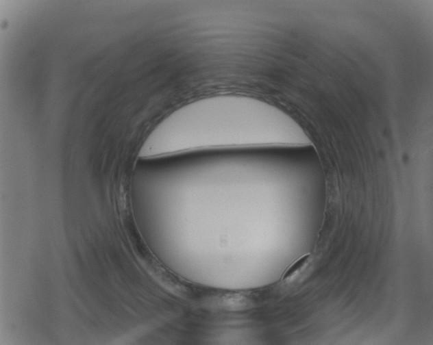 X0000078890086200611131041