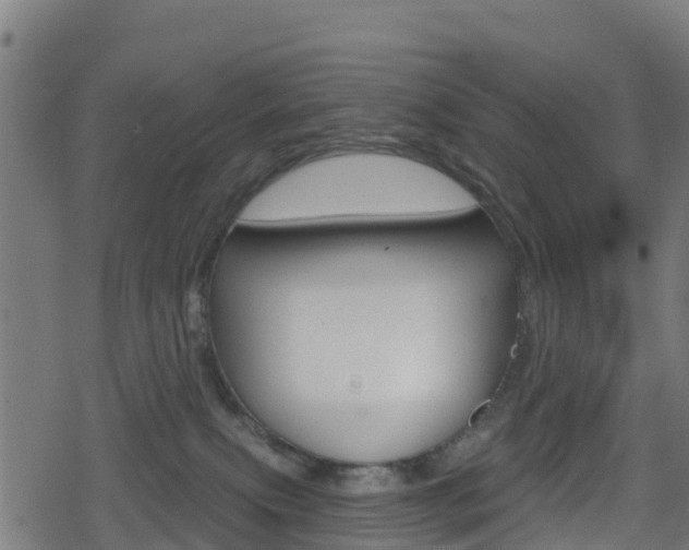 X0000078890087200611131041