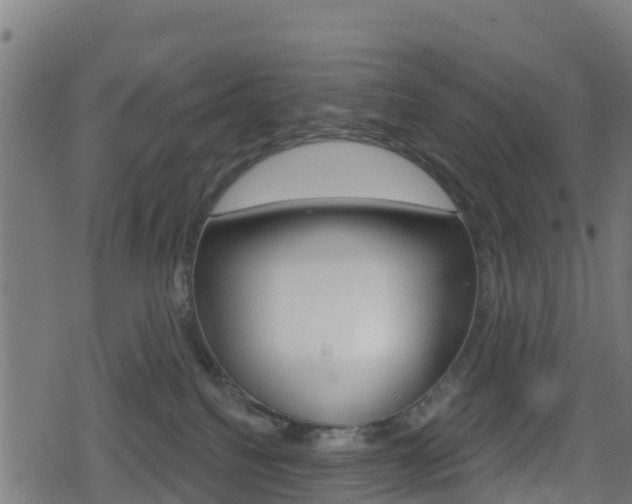 X0000078890088200611131041