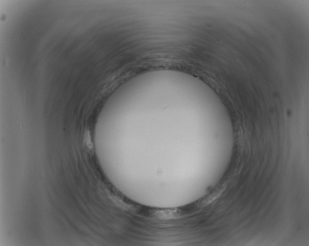 X0000078890089200611131041