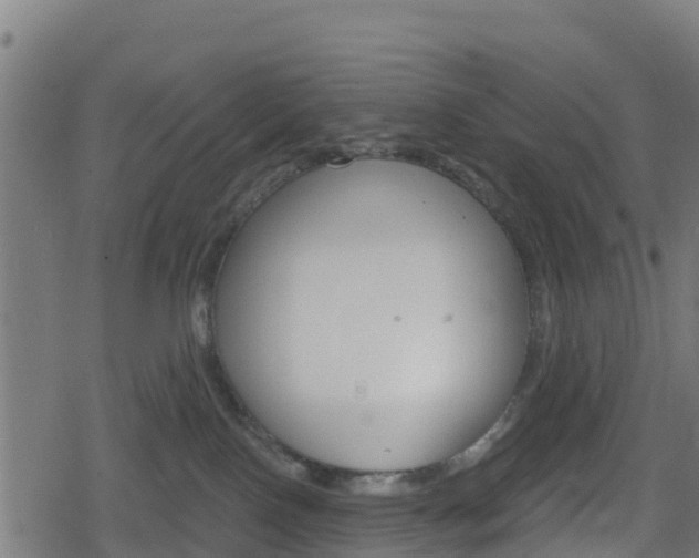 X0000078890090200611131041