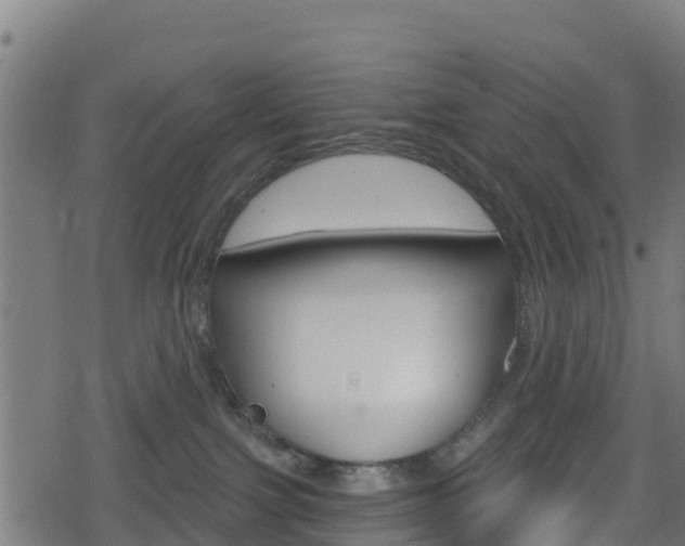 X0000078890091200611131041