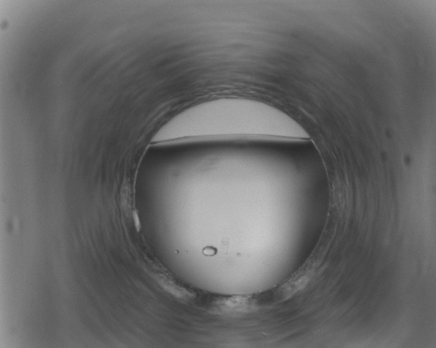 X0000078890092200611131041