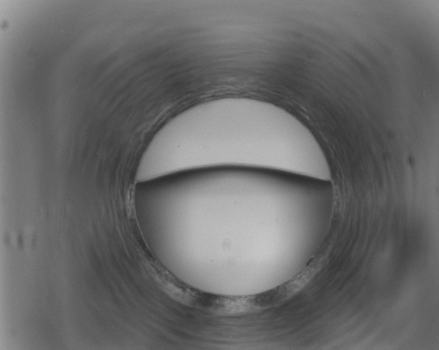 X0000078890093200611131041