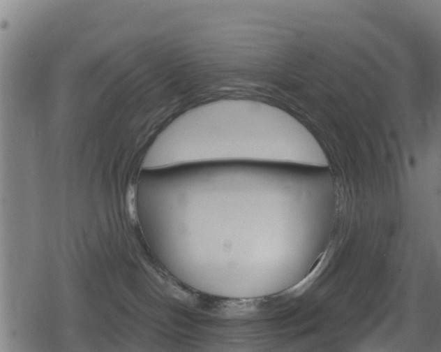 X0000078890094200611131041