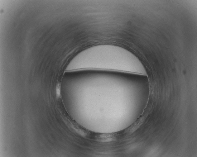 X0000078890095200611131041