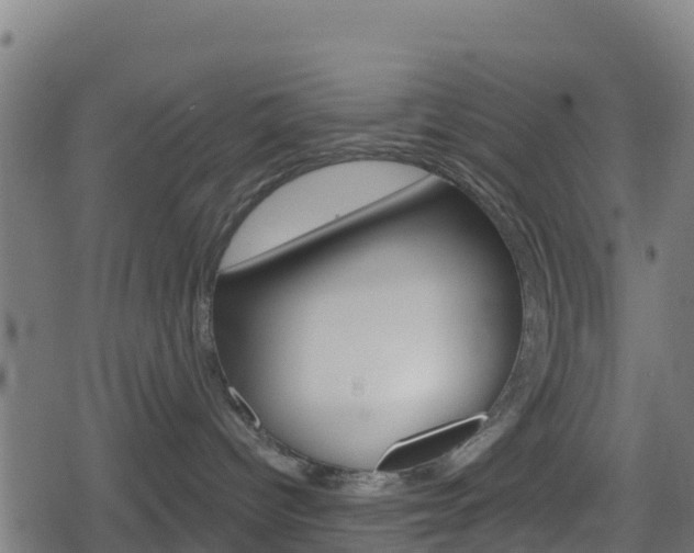 X0000078890096200611131041