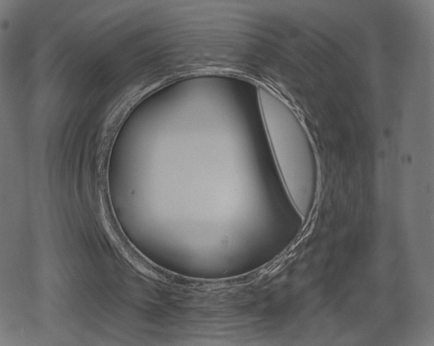 X0000078890097200611131040