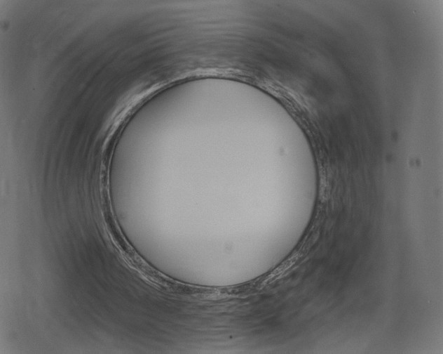 X0000078890098200611131040