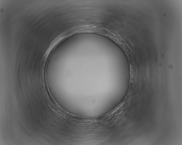 X0000078890099200611131040