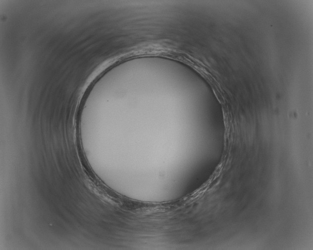 X0000078890100200611131040