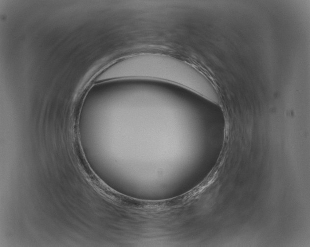 X0000078890101200611131040