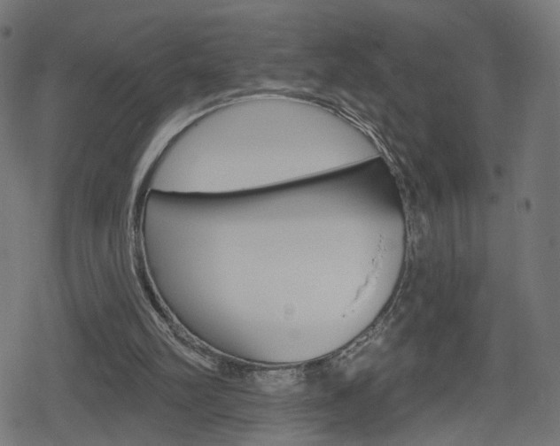 X0000078890102200611131040