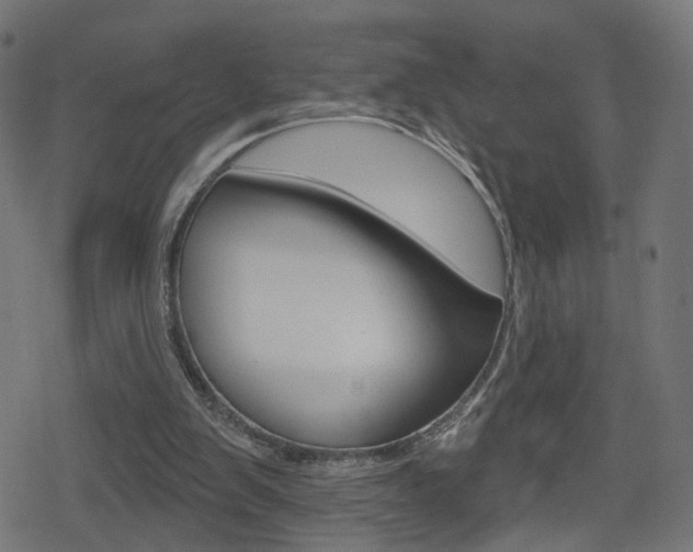 X0000078890103200611131040