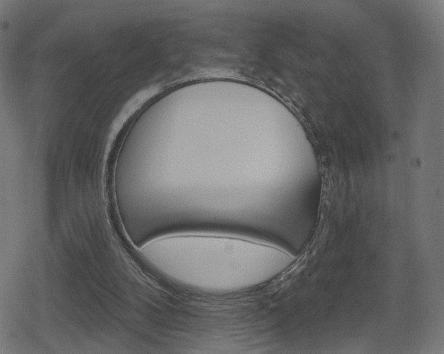 X0000078890104200611131040