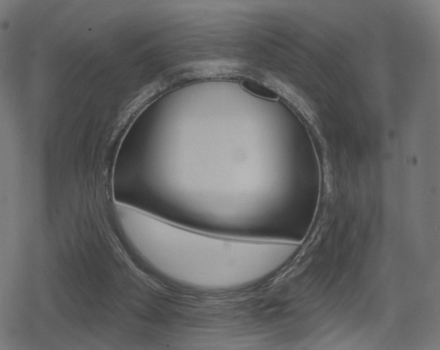 X0000078890105200611131040