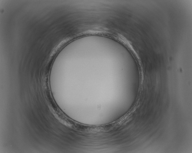 X0000078890106200611131040